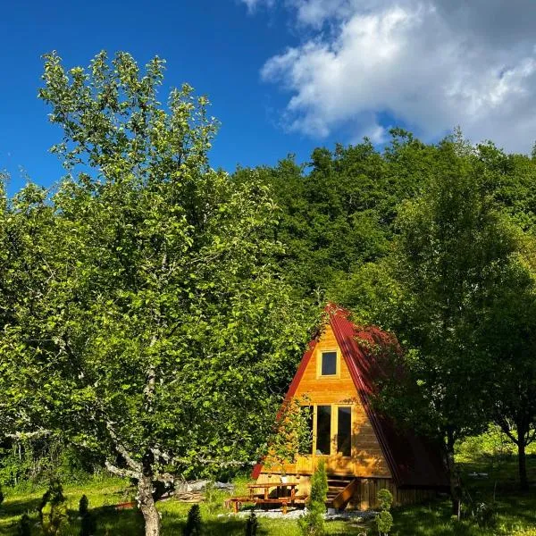 Tjentiste A-frame cabin，提耶蒂什特的飯店