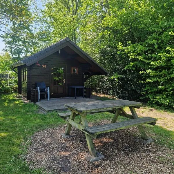 Camping Alkenhaer Appelscha Blokhut Basic, hotel in Appelscha