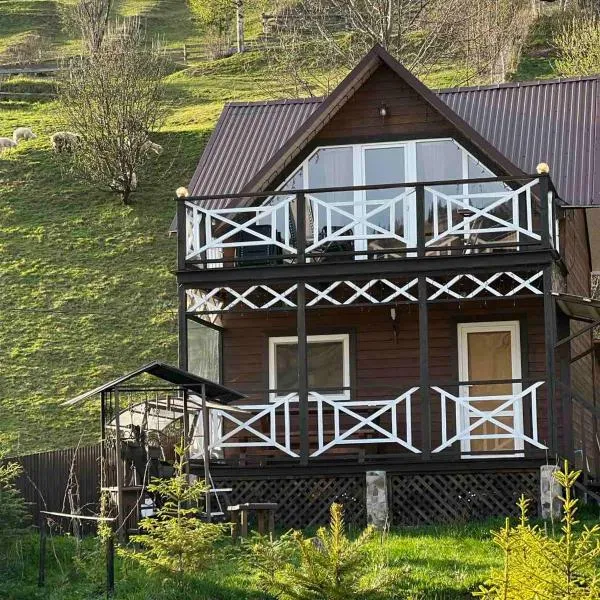 Файна хата 2, hotel in Synevyrsʼka Polyana