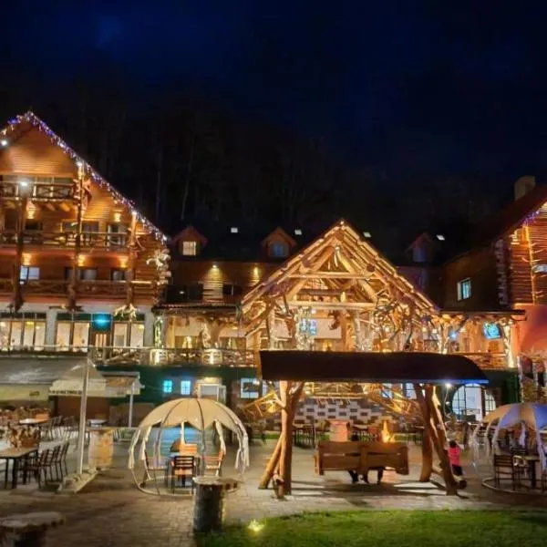 Conacul Radacinilor, hotel v destinaci Petrosani