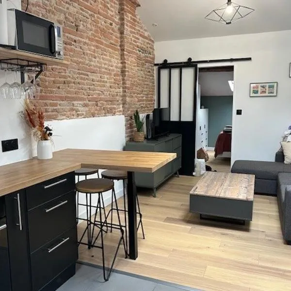 T2 de charme, au cœur de ville avec climatisation, hotel in Toulouse
