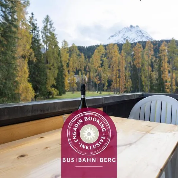 Brentschpark Wohnung C 96, hotel en Scuol