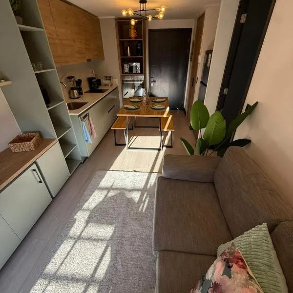 Lindo y Acogedor Apartamento en Ñuñoa, hotel in Santiago