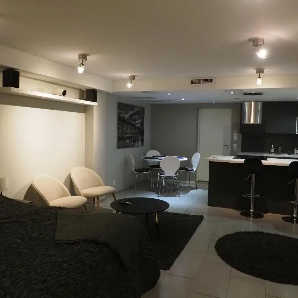 Studio Aittis, хотел в Йоенсуу