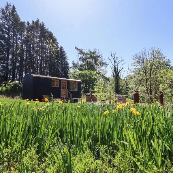 Celyn, hôtel à Dolgellau