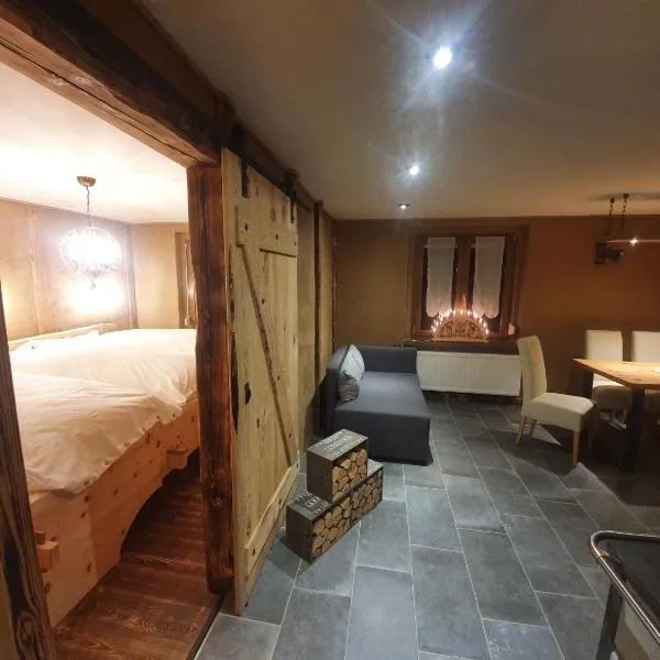 Naturhaus am Wald im Erzgebirge, hotel v destinaci Ehrenzipfel