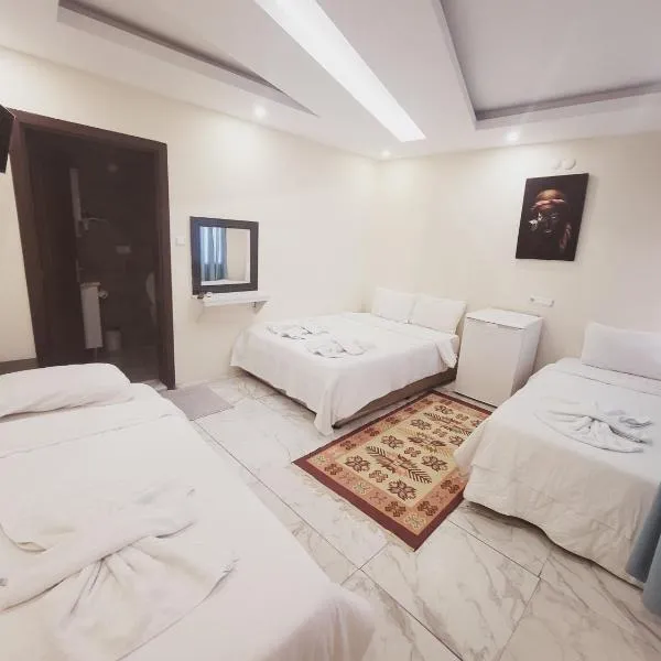 shah sultan Ozturk Hotel，位于帕莫卡莱的酒店