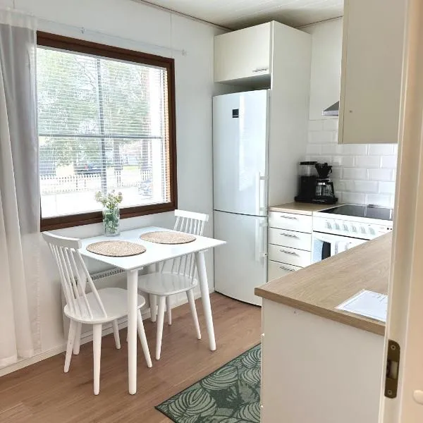 RT asunto, sauna, terassi ja autokatos, Hotel in Jalasjärvi