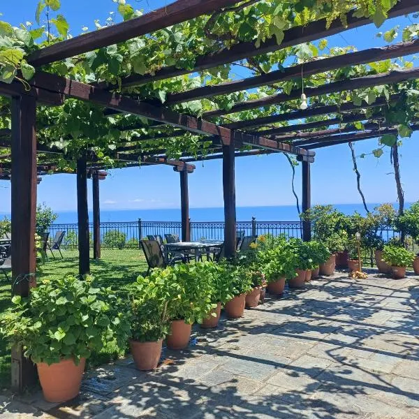 Olga Studios, hotel em Tsagarada