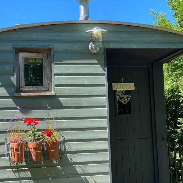 Shepherds Hut at Rhyd y Galen, hotel in Llanrug