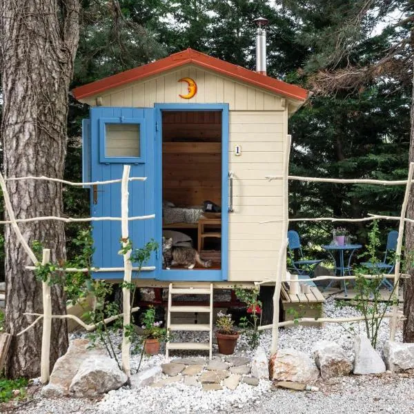 mobile house on a herbs farm，位于阿伊多夫什契纳的酒店