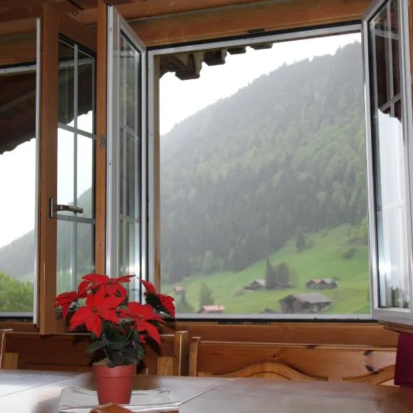 The Saxeten alps, hotel v destinaci Arni Alp