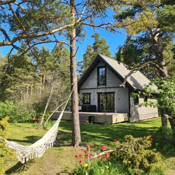 Elimaa-Lepiku, hotel v destinaci Hõbesalu