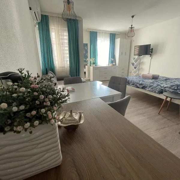 Apartman 14, hotel a Banja Koviljača