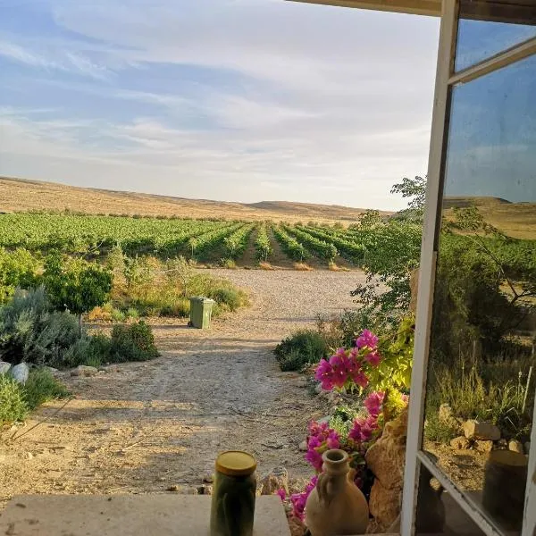 כרם שיזף, hotel i Mitzpe Ramon