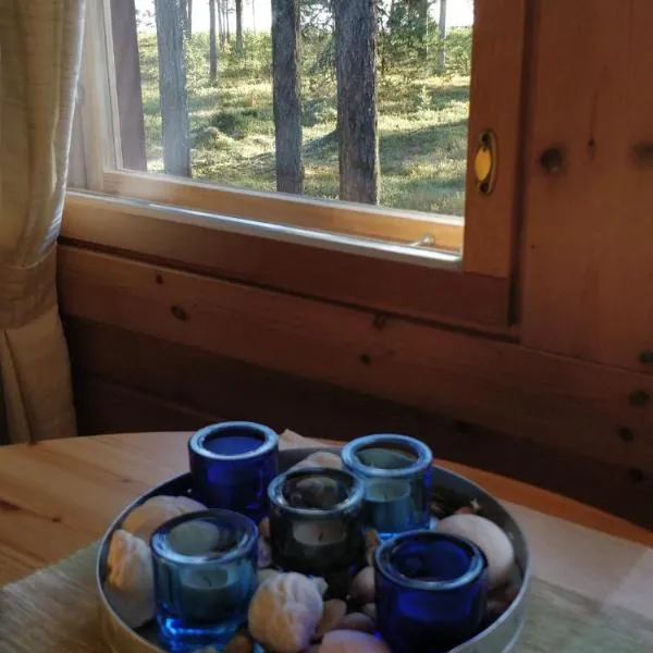 Cottage on Lake Jeris, hotel in Muonio