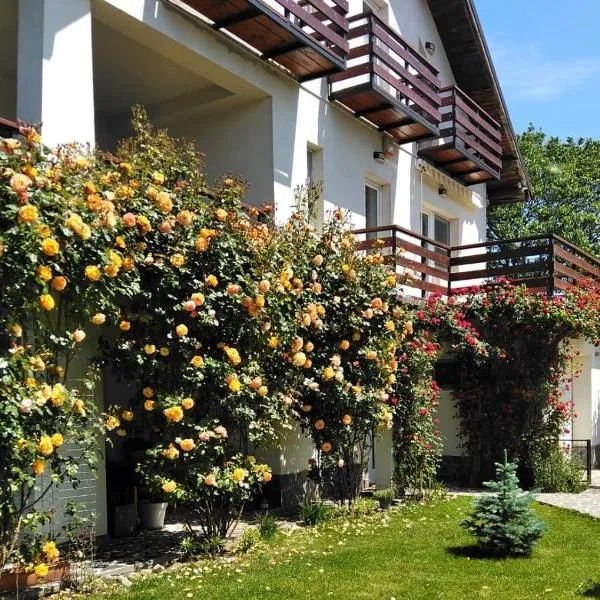 Vila Carpatina, hotel en Breaza