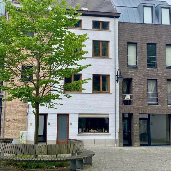Guanto vakantiewoning, Hotel in Ronse