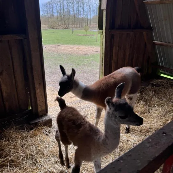 Billund Farm Holiday，位于比伦德的酒店