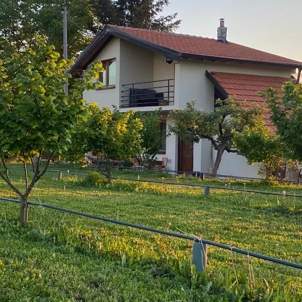 s t d -PARADISO-, hotel in Vranje