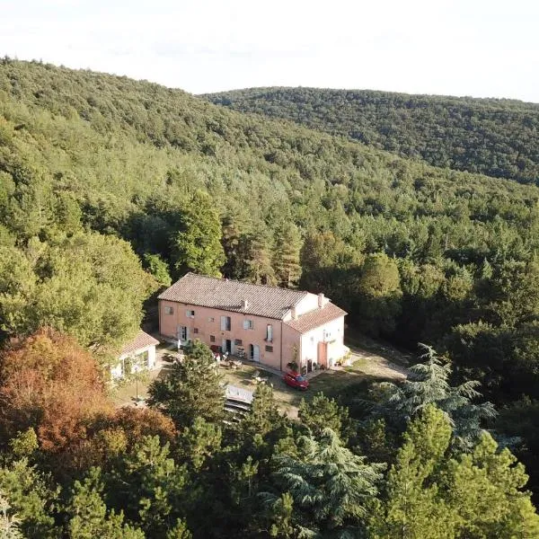 Podere Pietraporciana - Rifugio escursionistico, Hotel in Castiglioncello del Trinoro
