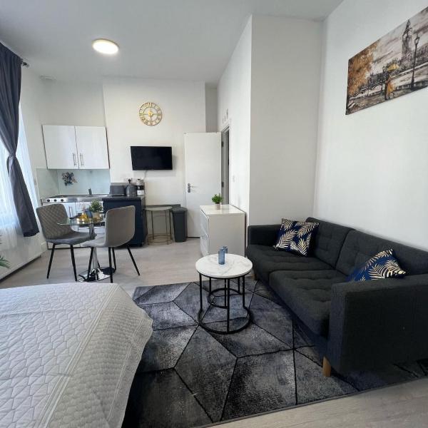 Spacious studio 10 mins to Metro 1 min to the bus, London