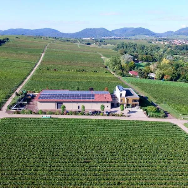 Vögelis WeinNest, viešbutis mieste Landau