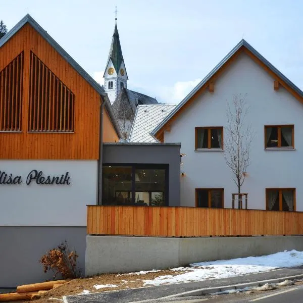 Hiša Plesnik, Hotel in Solčava