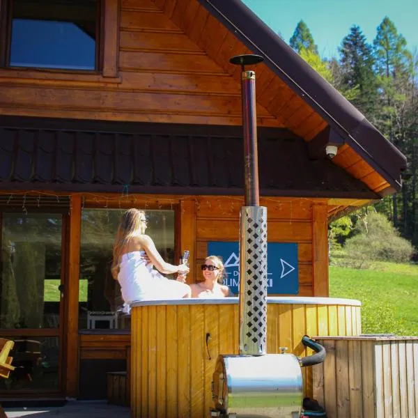 Domek OlimpijSki SZCZYRK, hotel v destinaci Szczyrk