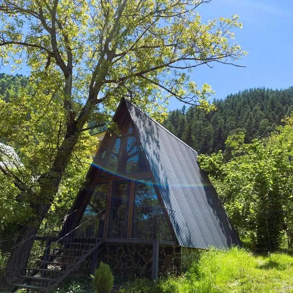 Wonderwood Borjomi Cottage, hotel in Borjomi