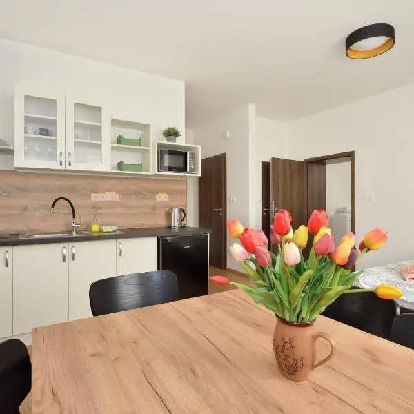 Penzion U Smrku Luleč, hotel en Luleč