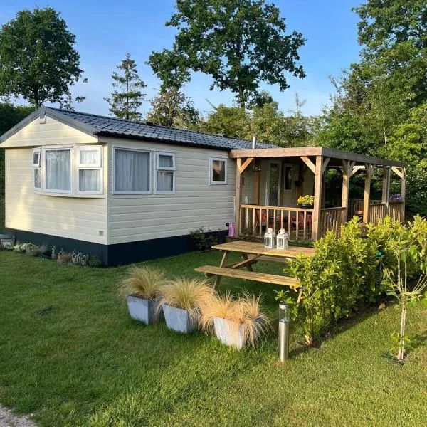 Olm29 Vakantiewoning in het Drents Friese Wold vlakbij Diever Zwembad, Animatie, Restaurant, Wandelen, Natuur, hotel in Oude Willem