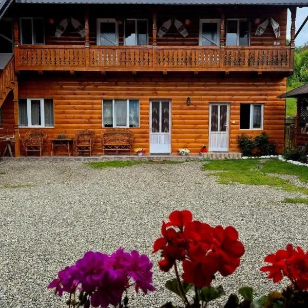 Casa Pintea de Sub Coastă, ξενοδοχείο σε Breb