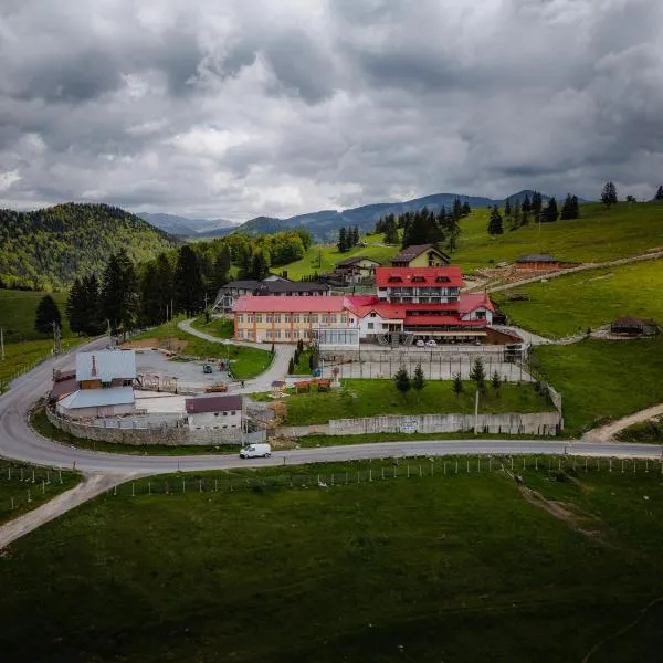 Vila Dealul Sasului, hotel in Dâmbovicioara
