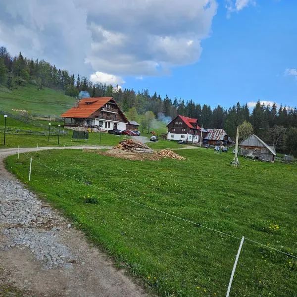 Pensiunea Scarisoara, hotel in Gheţari