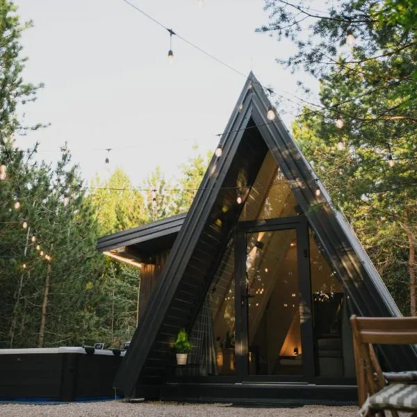 Pinelle Blidinje A-Frame House, ξενοδοχείο σε Risovac