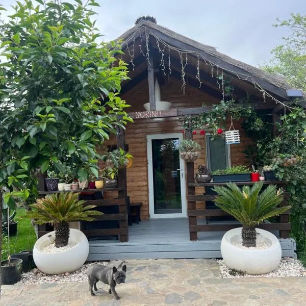 Cabana Sorina, hotel in Corbu