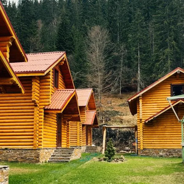 Власовъ, hotel in Pamporovo