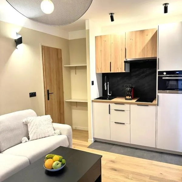 Studio Californien à deux pas de la plage，位于尼斯的酒店