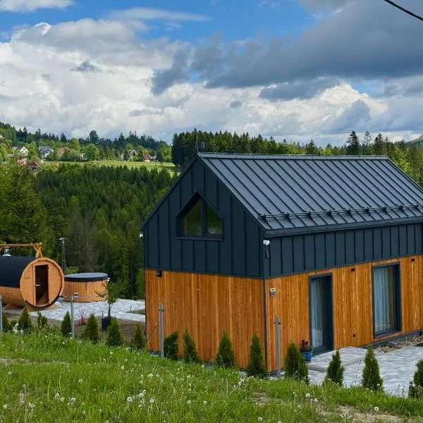 Młynarska Dolina A, ξενοδοχείο σε Koniakow