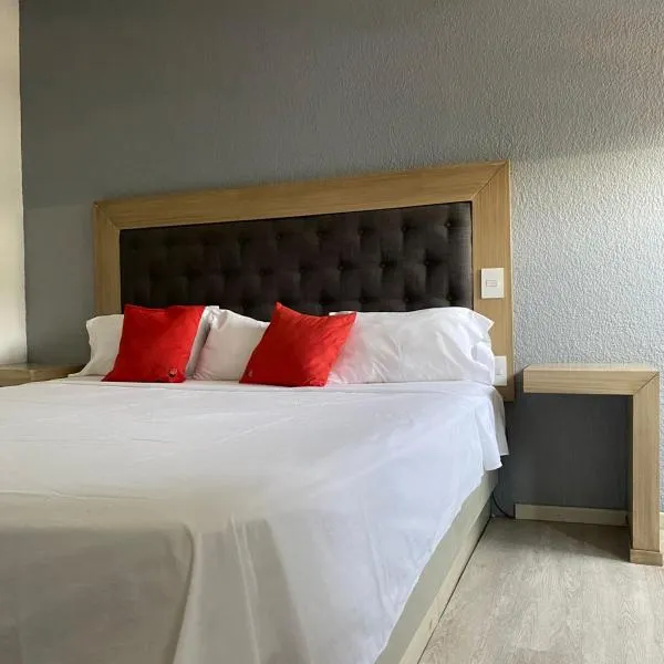 Hotel Italia, Aguascalientes, hotel in Aguascalientes