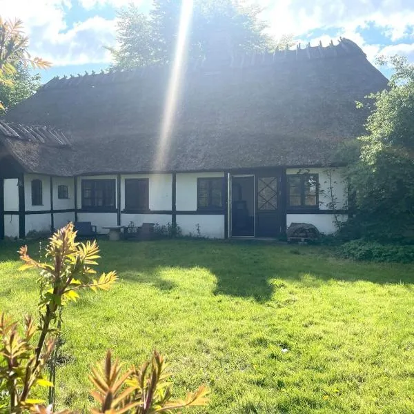 Guest house Æbelnæs, Møn，位于斯泰厄的酒店