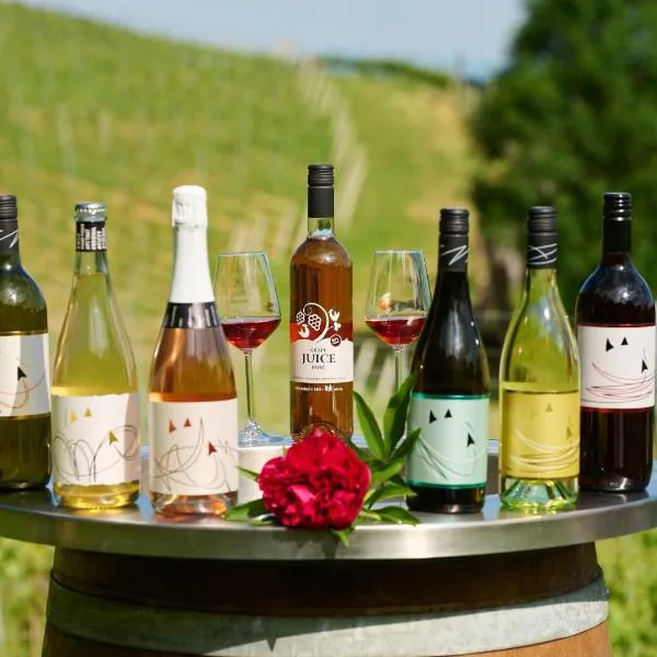 Grobelnik Tourist Farm, hôtel à Sevnica