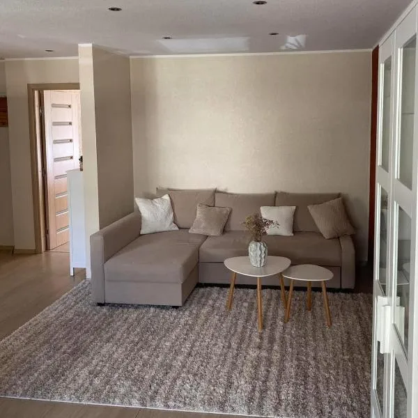 Ramybė Druskininkai, hôtel à Druskininkai