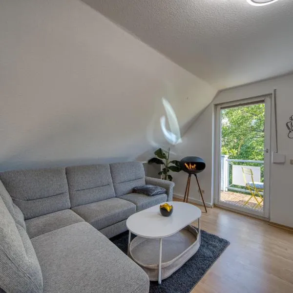 DresdenStay 3 Schlafzimmer 2 Bäder Balkon Kamin PS4, hotel em Dresden