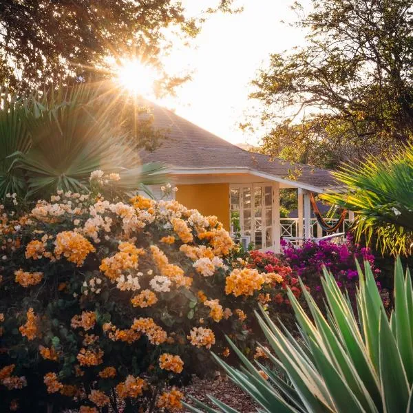 Chogogo Dive & Beach Resort Curaçao, hotel v destinaci Jan Thiel