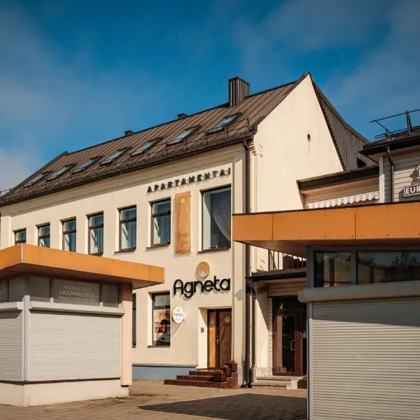 Agneta Apartamentai, hotel in Druskininkai