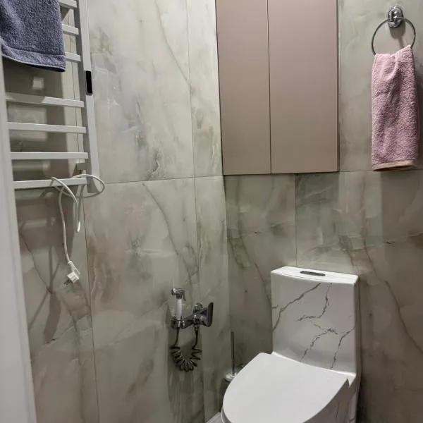 Жана Сарыарка, hotel Karagandiban