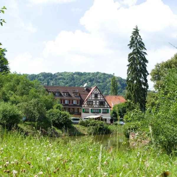 Logis Hôtel-Restaurant Auberge d'Imsthal, hotel in La Petite-Pierre