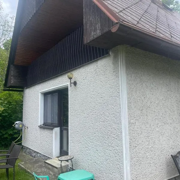 Chata Janov, hotel din Janov